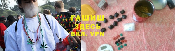 мдпв Бородино
