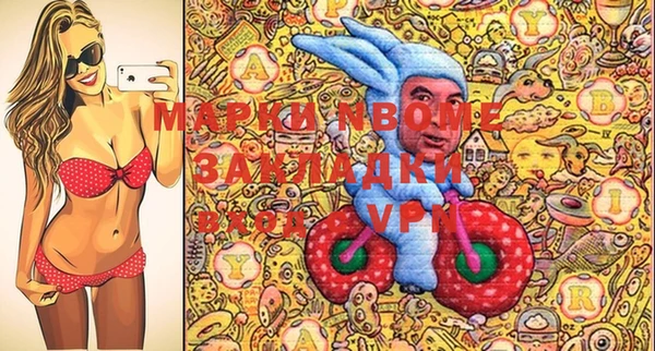 гидра Бронницы