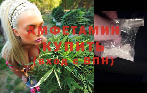 мдпв Бородино