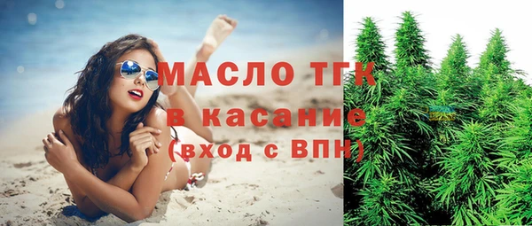 мдпв Бородино