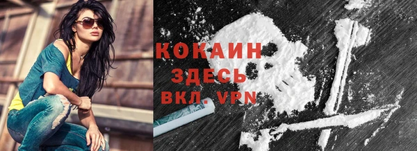 мдпв Бородино