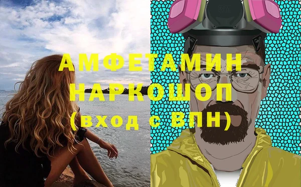 мдпв Бородино