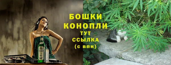 гидра Бронницы