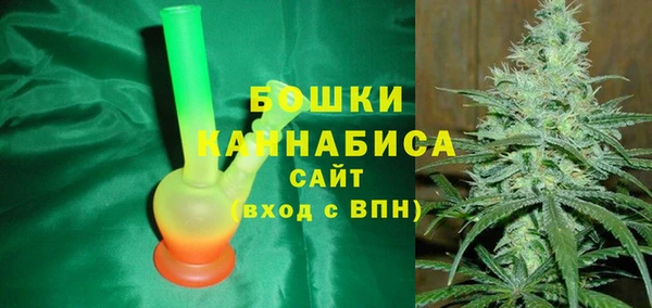 гидра Бронницы