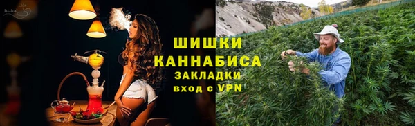 мдпв Бородино